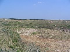 IMG_3187 duinen_castricum